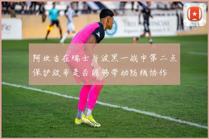 阿坎吉在瑞士与波黑一战中第二点保护效率是否能够带动防线协作