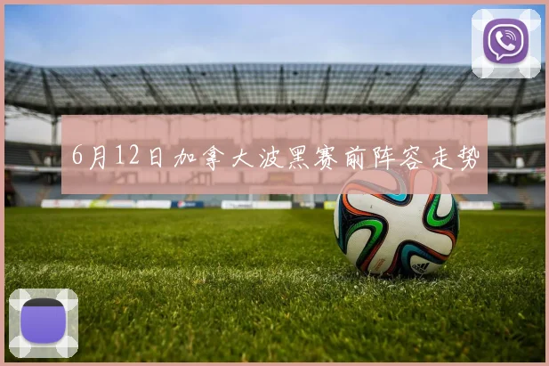 6月12日加拿大波黑赛前阵容走势