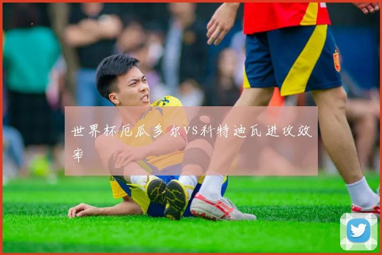 世界杯厄瓜多尔vs科特迪瓦进攻效率